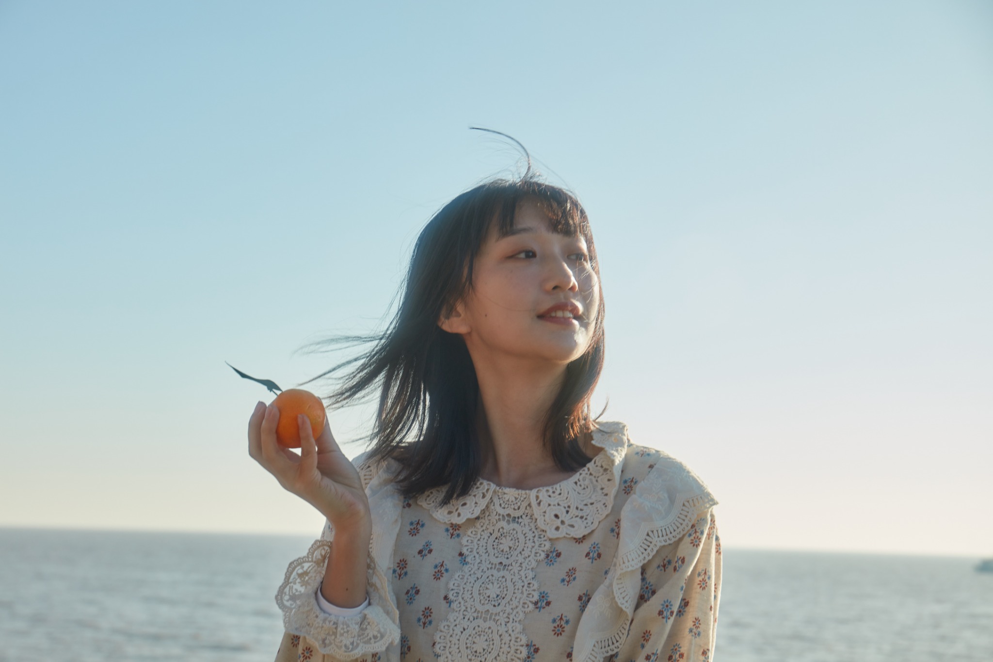 日初青橙 — 查看