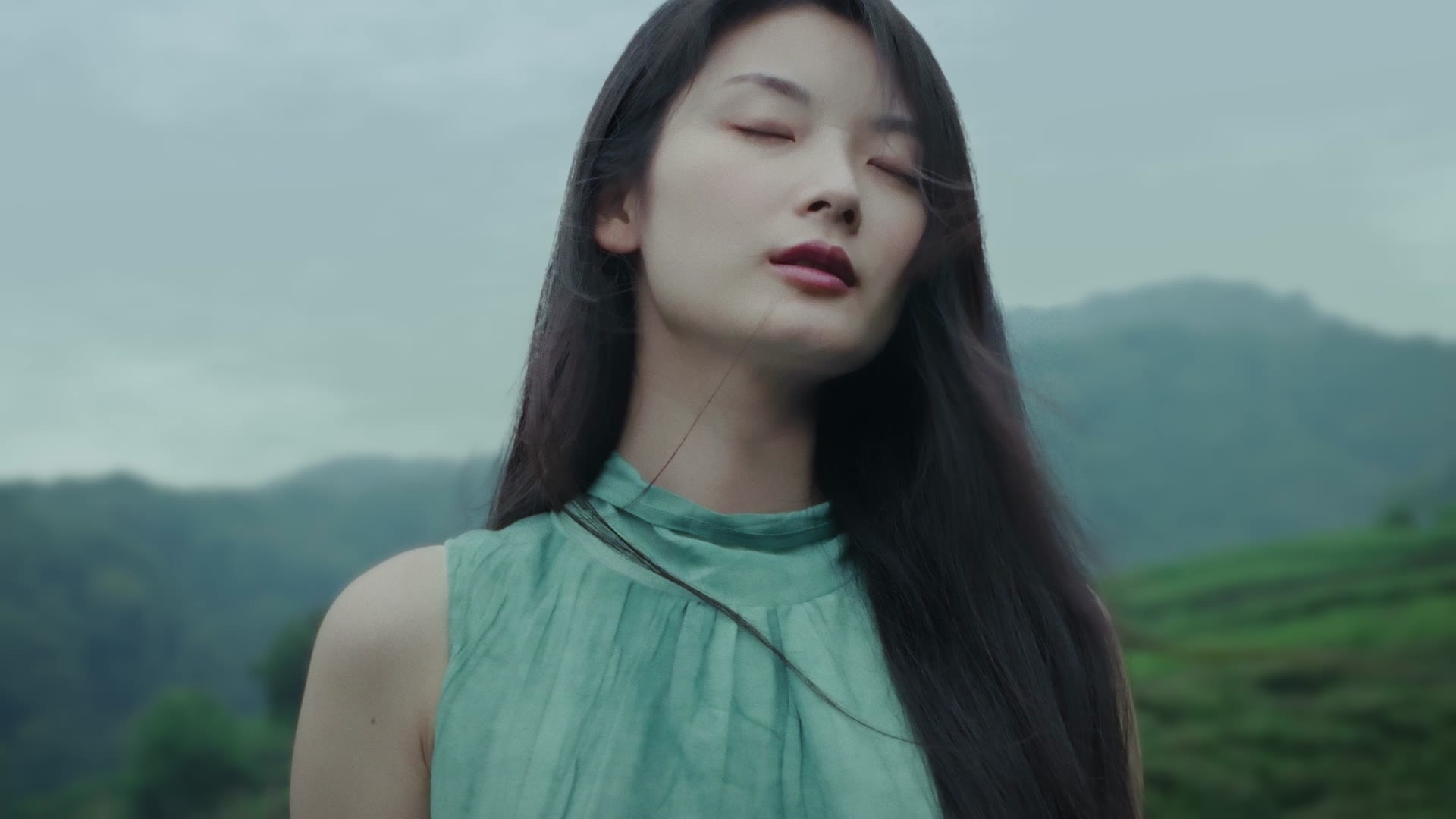 茶染长夜 — 查看